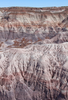 Petrified Forest National Park