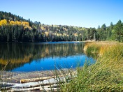 Dixie Natioanl Forest