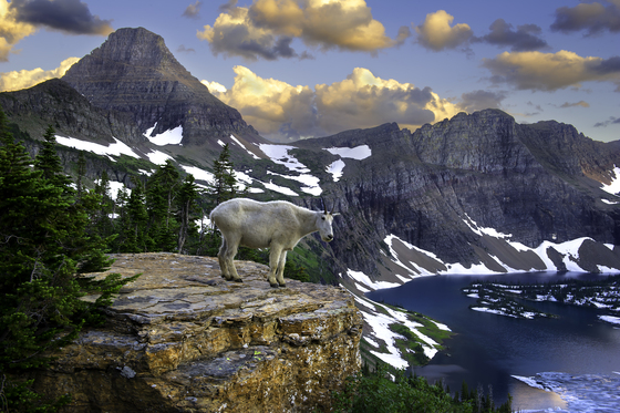 Glacier National Park