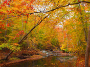 Prince William Forest Park