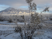 Stoddard Wells OHV area
