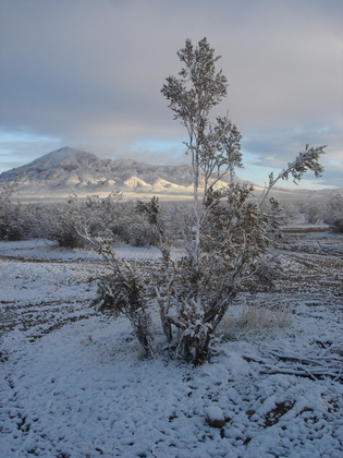 Stoddard Wells OHV area
