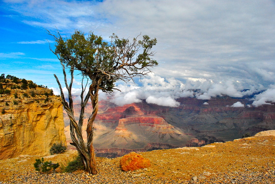 Grand Canyon National Park