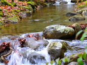 Great Smokey Mountains National Park