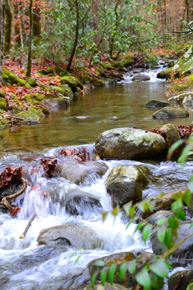 Great Smokey Mountains National Park