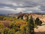 Zion National Park
