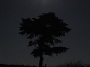 Shenandoah National Park