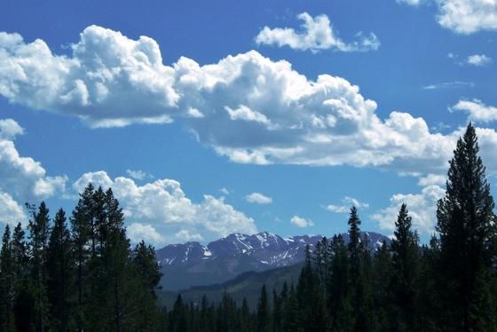 Yellowstone National Park