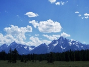 Yellowstone National Park