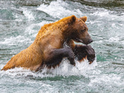 Katmai National Park