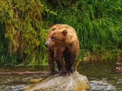 Katmai National Park