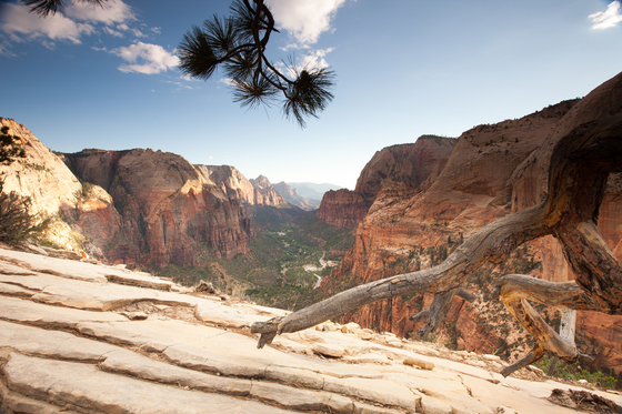 Zion National Park