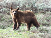 Grand Teton National Park