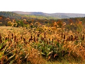 Antietam National Battlefield