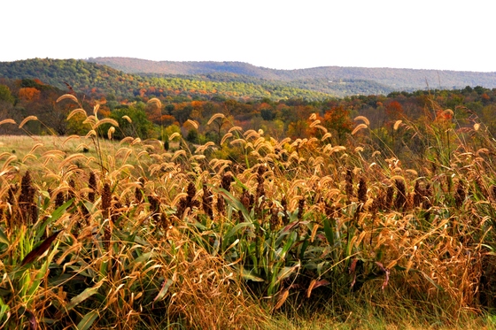 Antietam National Battlefield