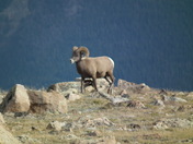 Rocky Mountain National Park