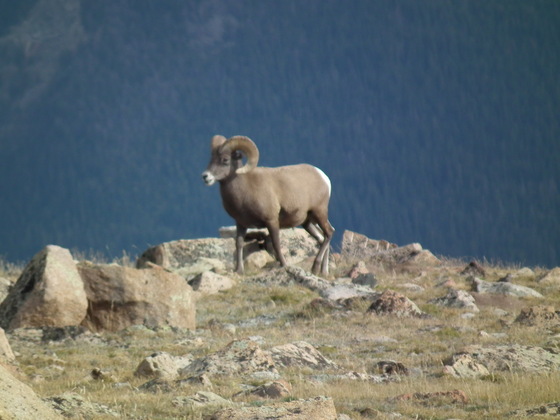 Rocky Mountain National Park