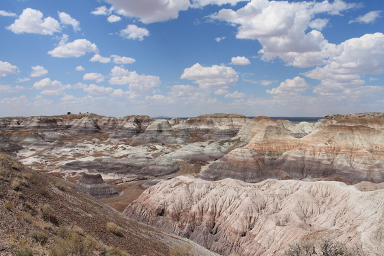Petrified Forest National Park