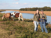 Assateague Island National Seashore