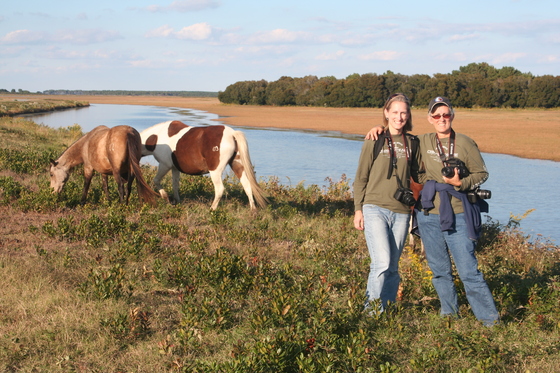 Assateague Island National Seashore