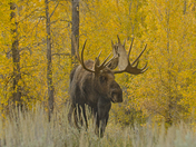 Grand Teton National Park