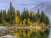 Grand Teton National Park