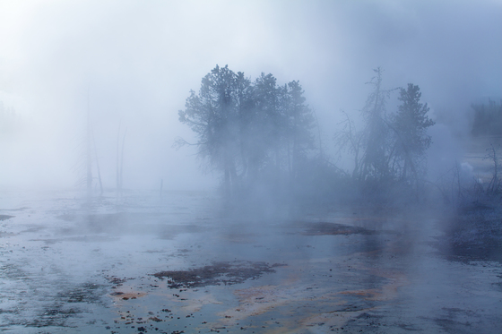 Yellowstone National Park