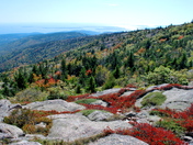 Acadia National Park