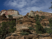 Zion National Park