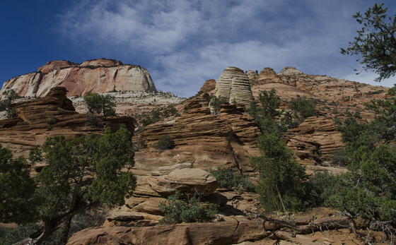 Zion National Park