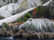 Kenai Fjords National Park