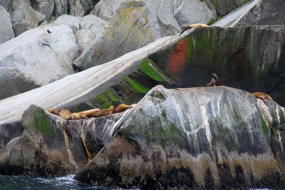 Kenai Fjords National Park
