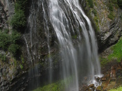 Mt. Rainier National Park