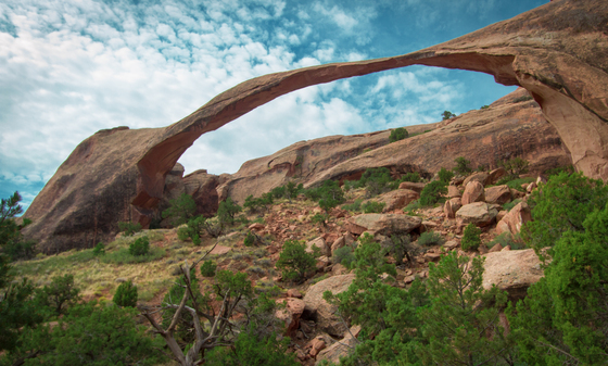 Arches National Park