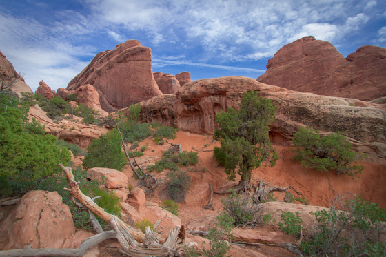 Arches National Park
