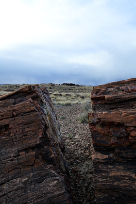 Petrified Forest National Park