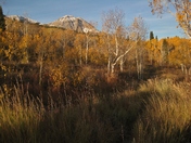 Uinta-Wasatch-Cache National Forest