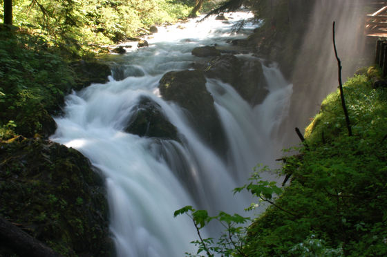 Olympic NP