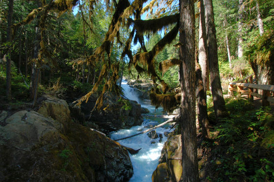 Mount Ranier NP