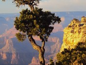 Grand Canyon National Park
