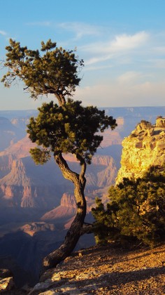 Grand Canyon National Park