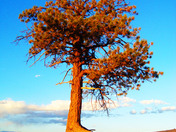 Bryce Canyon National Park