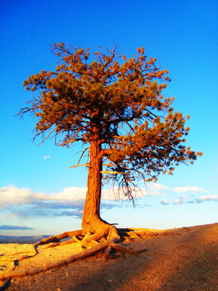 Bryce Canyon National Park