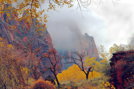 Zion National Park