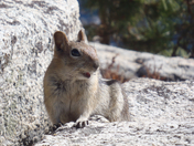 Yosemite National Park
