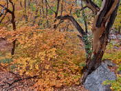 Guadalupe Mountains National Park