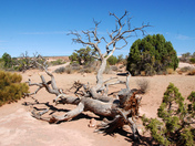 Arches National Park, Utah