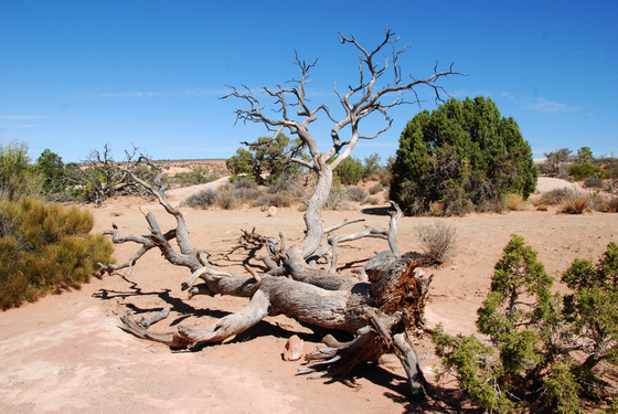 Arches National Park, Utah