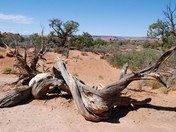 Arches National Park, Utah