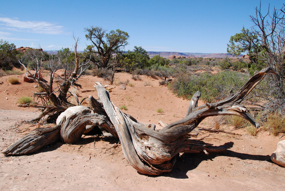 Arches National Park, Utah